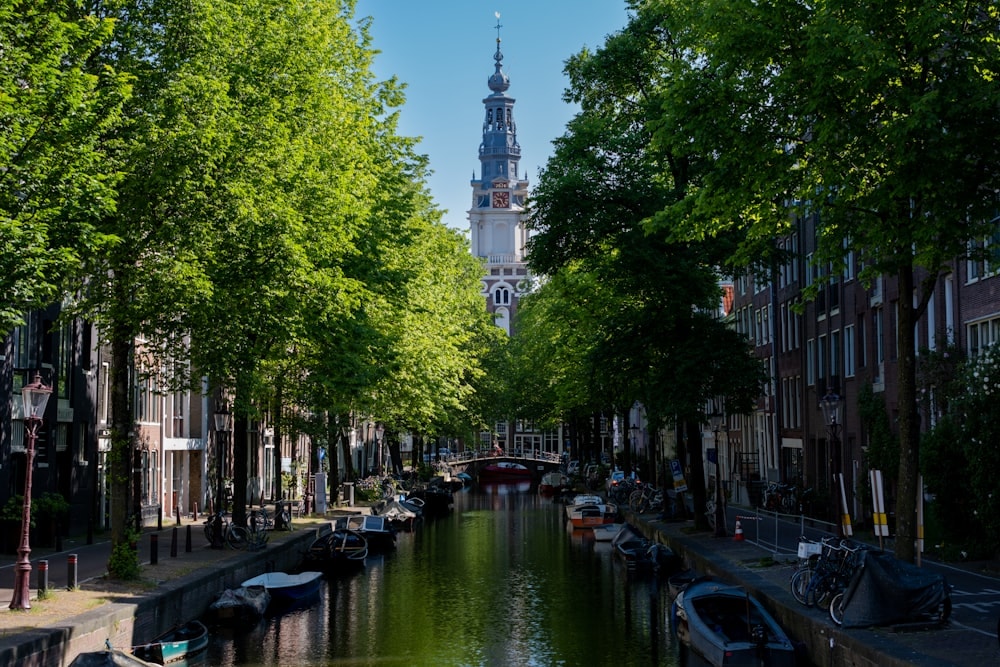 A family walking together along an Amsterdam canal